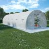 Greenhouse 290.6ft¬≤ 354.3"x118.1"x78.7"