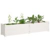 Garden Raised Beds 2 pcs White 59.1"x12.2"x12.2" Solid Wood Pine