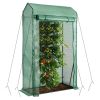 Garden Greenhouse Hot House Tomato Plant Warm House