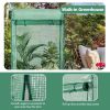 Garden Greenhouse Hot House Tomato Plant Warm House