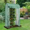 Garden Greenhouse Hot House Tomato Plant Warm House